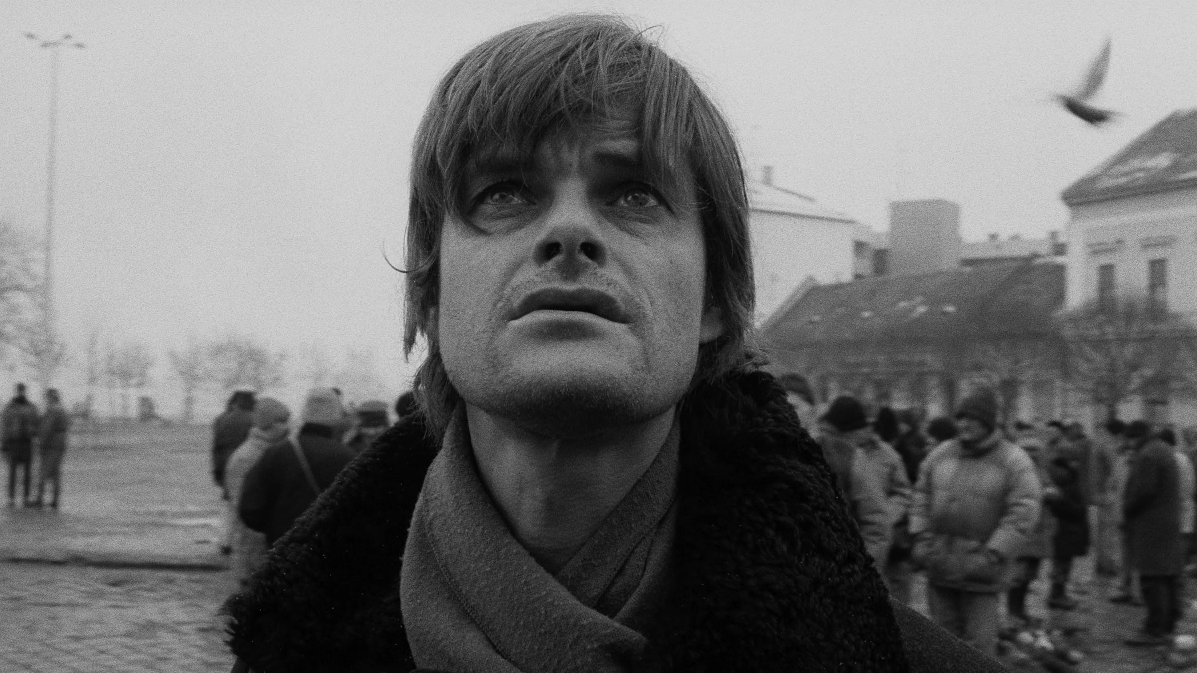 Werckmeister Harmonies