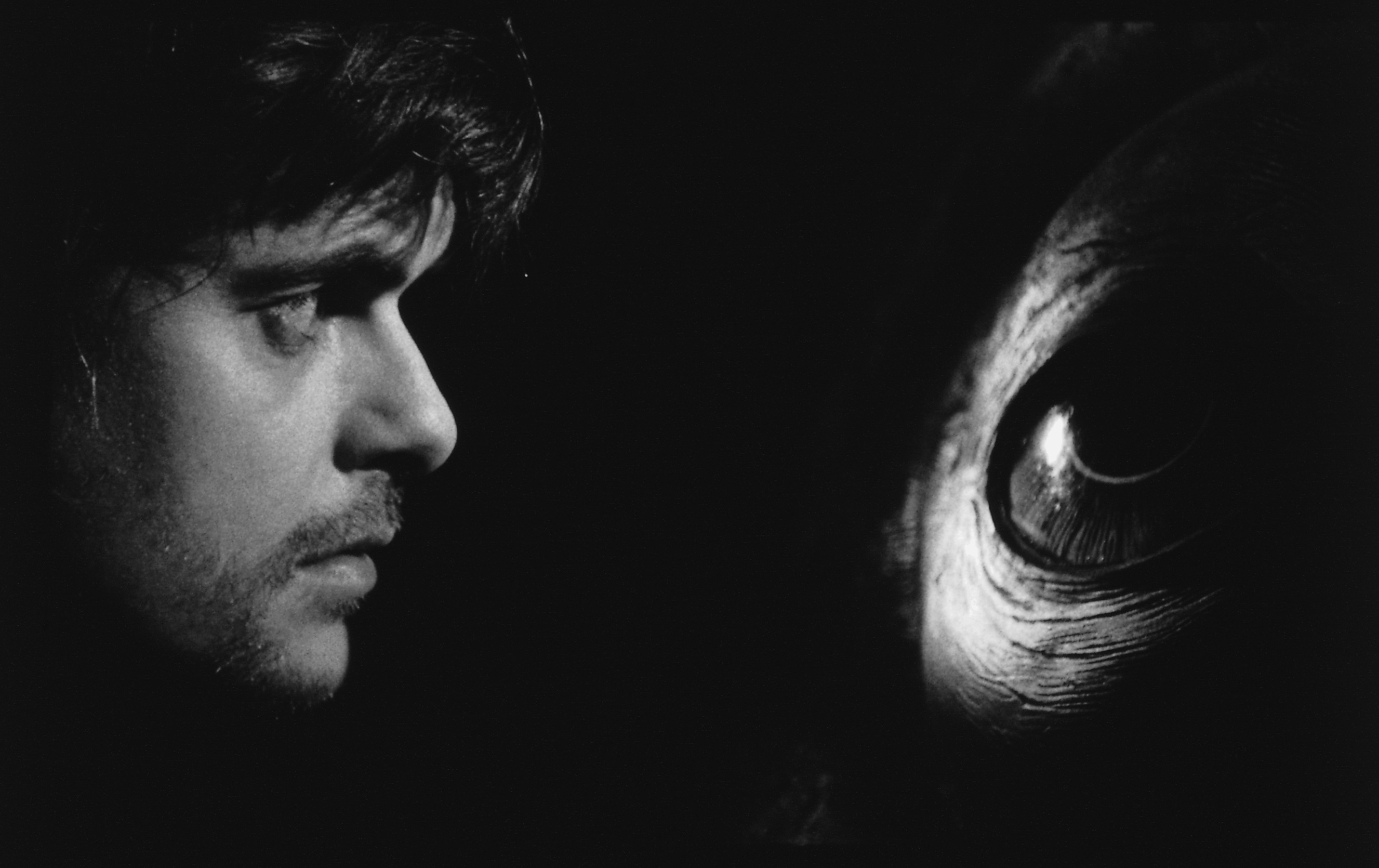 Werckmeister Harmonies