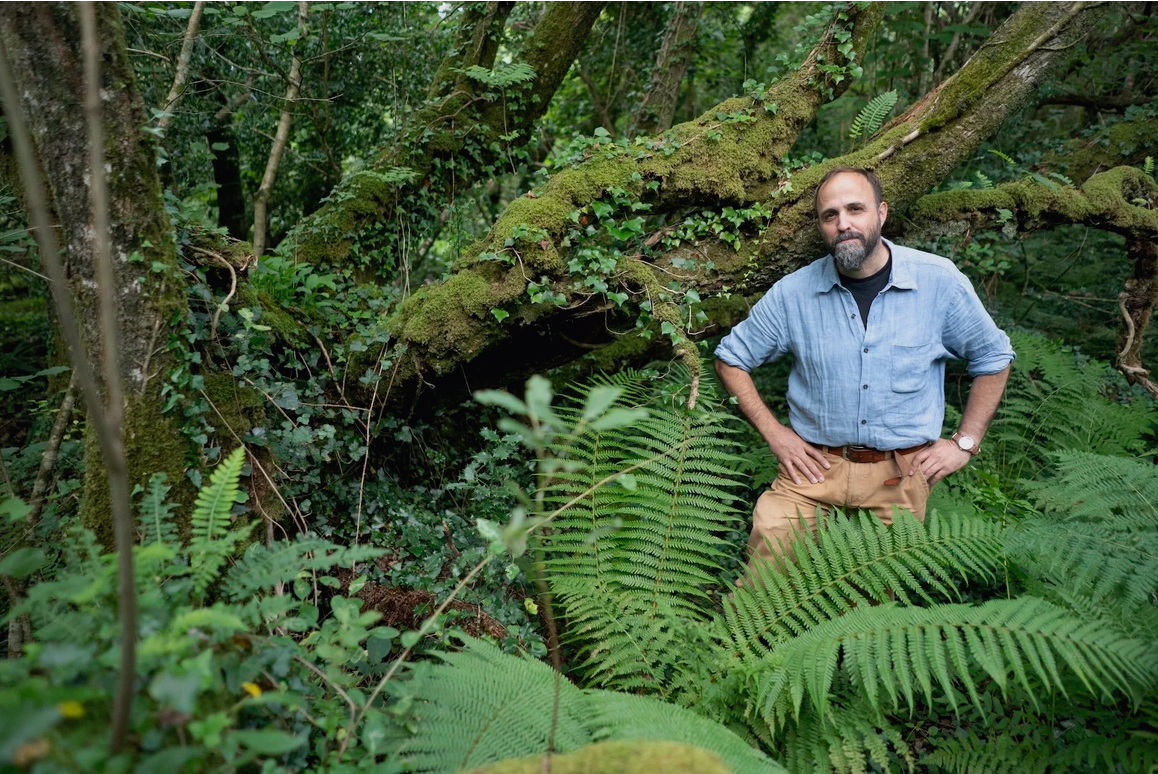 An Irish Atlantic Rainforest 