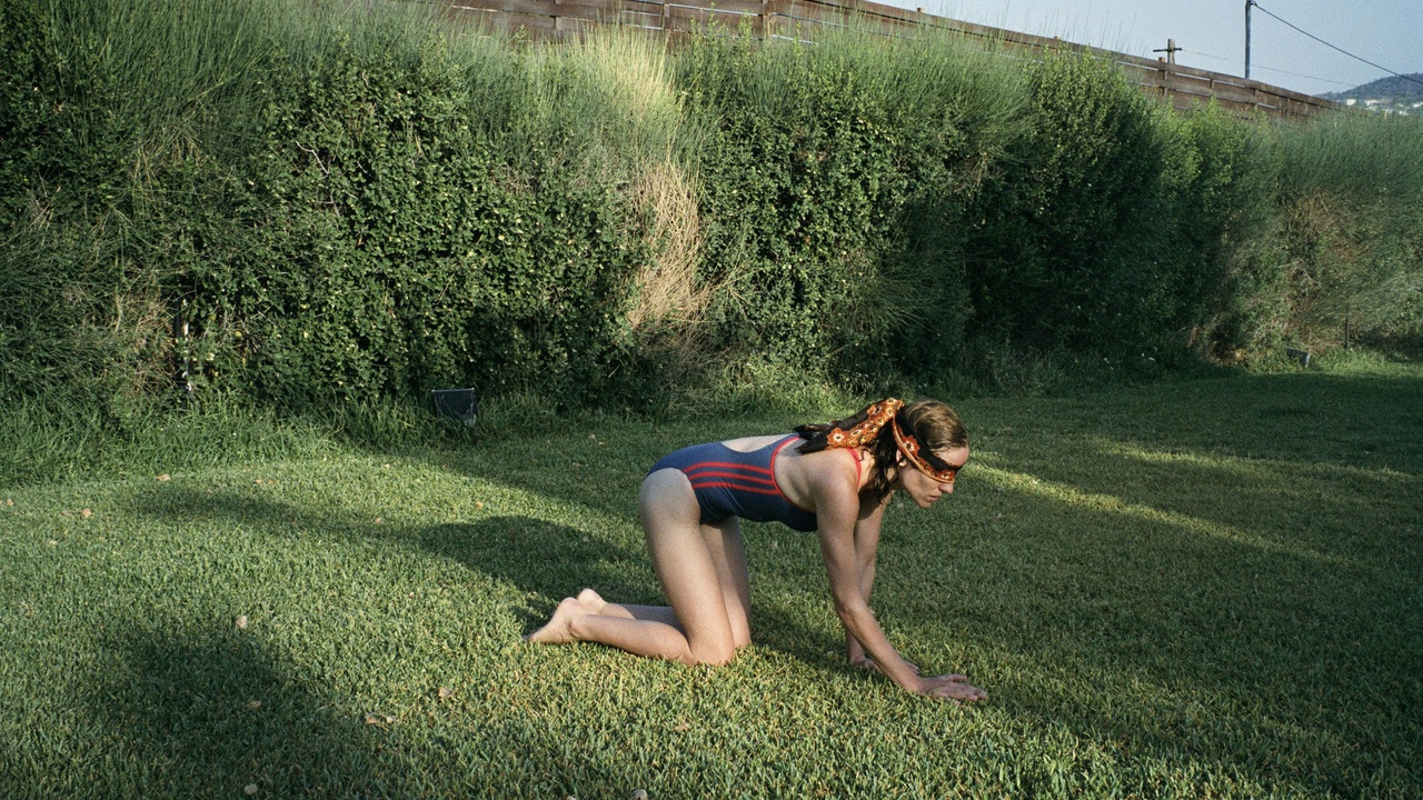 Visuel de : Dogtooth