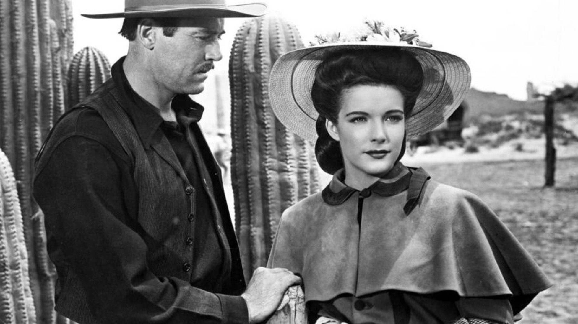 Visuek de : My Darling Clementine
