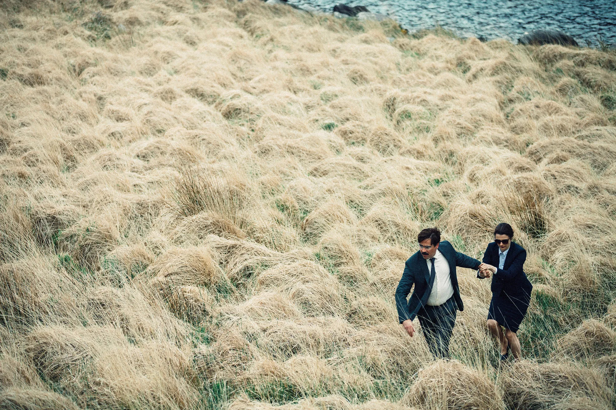 Visuel de : The Lobster