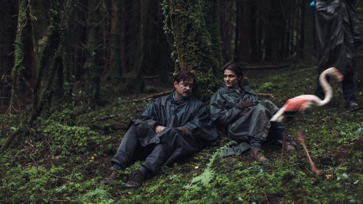 Visuel de : The Lobster