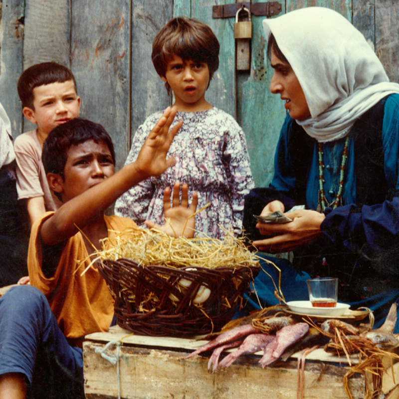 Bashu, the Little Stranger